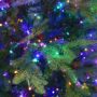 Kensington Fir Tree – 7.5′